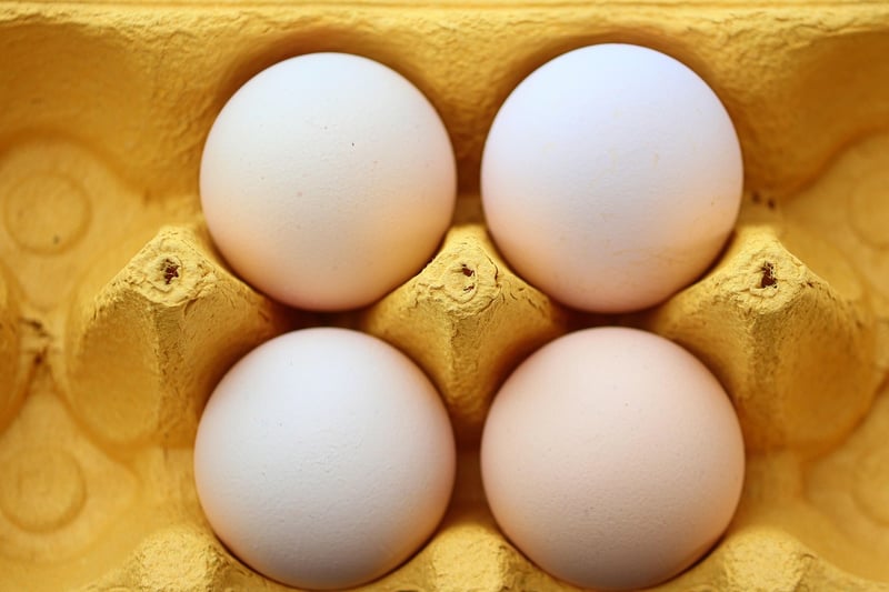 Upcycled Egg Carton Crafts